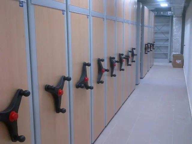 Rafturi mobile cu panouri cu aspect de lemn