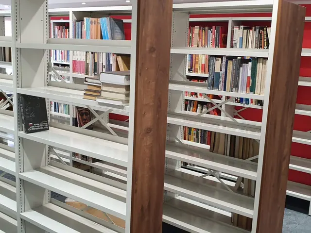 Rafturi de bibliotecă cu cărți